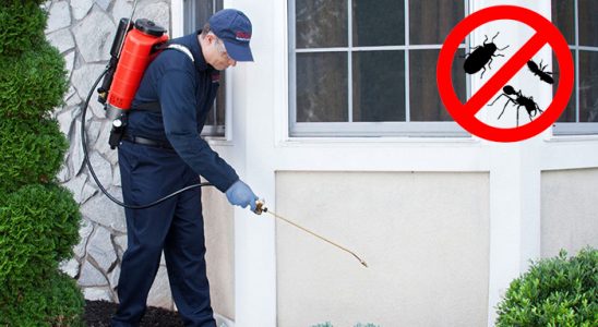 Yıldızeli Hamam Böceği İlaçlama böcek ilaçlama ve haşere kontrolü — ilaclama-tr.com